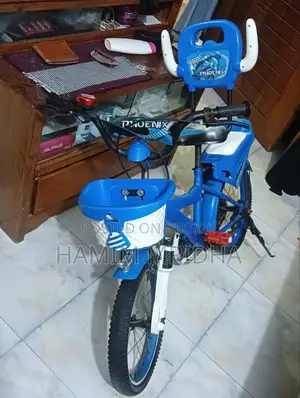 Phoenix Cycle