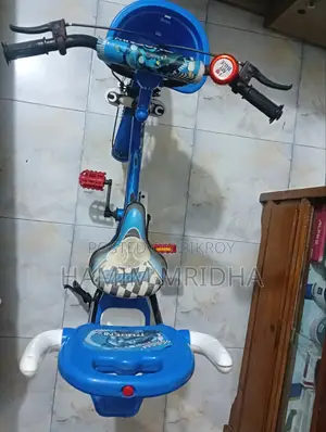 Phoenix Cycle