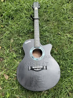 অ্যাকৌস্টিক গিটার