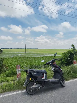 টেইলজি ২০২৫ ব্ল্যাক