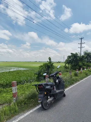 টেইলজি ২০২৫ ব্ল্যাক