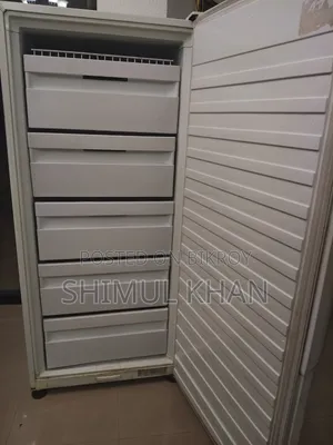 Long Deep Freezer