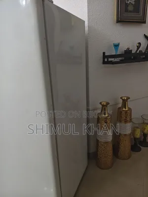 Long Deep Freezer