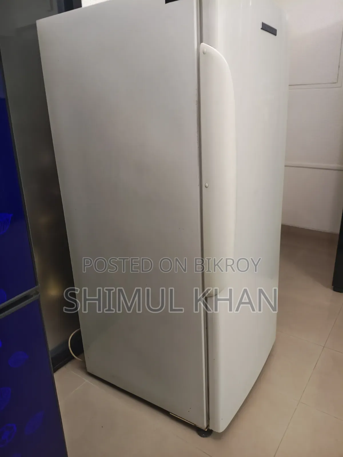 Long Deep Freezer