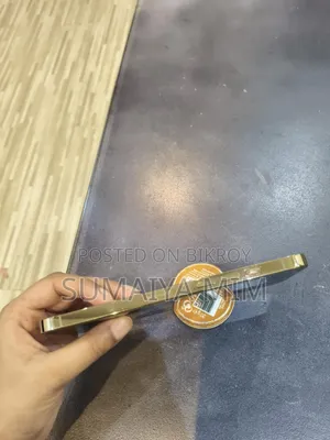 অ্যাপল আইফোন ১২ প্রো ম্যাক্স ১২৮ জিবি গোল্ড