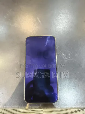অ্যাপল আইফোন ১২ প্রো ম্যাক্স ১২৮ জিবি গোল্ড
