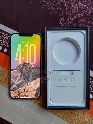Apple iPhone 12 Pro Max 256 GB White