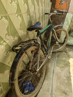 This bicycle will be sold