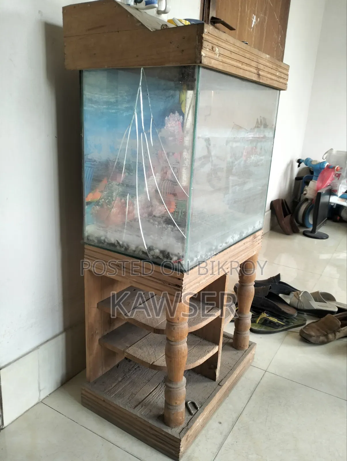 Aquariums for Fish