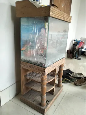 Aquariums for Fish