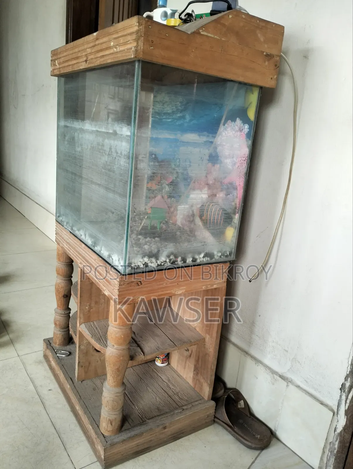 Aquariums for Fish