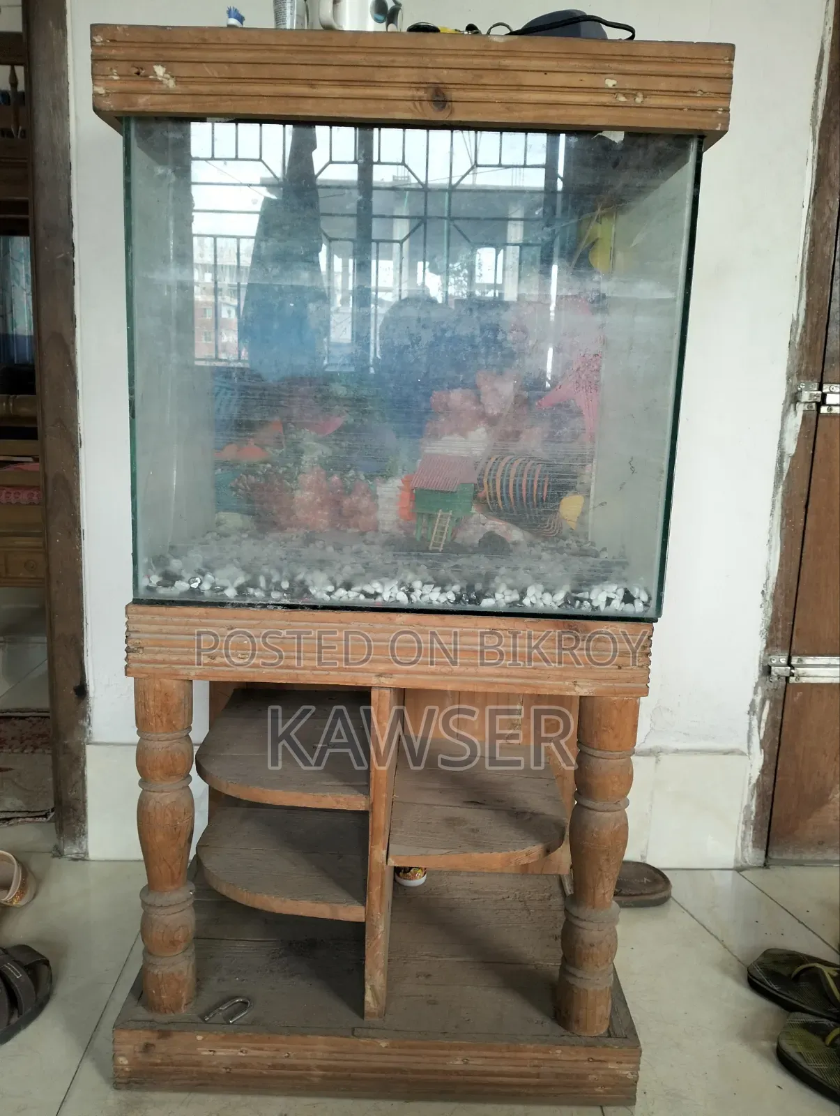 Aquariums for Fish