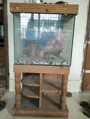 মাছের অ্যাকুরিয়াম