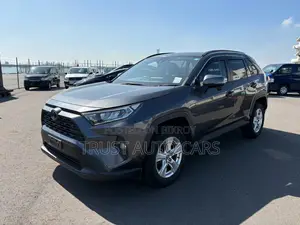 টয়োটা RAV4 ২০২১ গ্রে