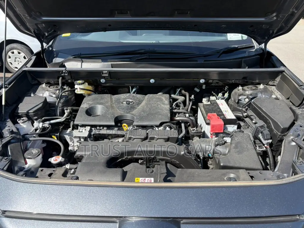 টয়োটা RAV4 ২০২১ গ্রে