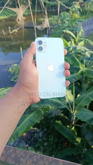 অ্যাপল আইফোন ১২ ১২৮ জিবি