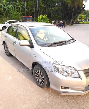 Toyota Axio 2007 Silver