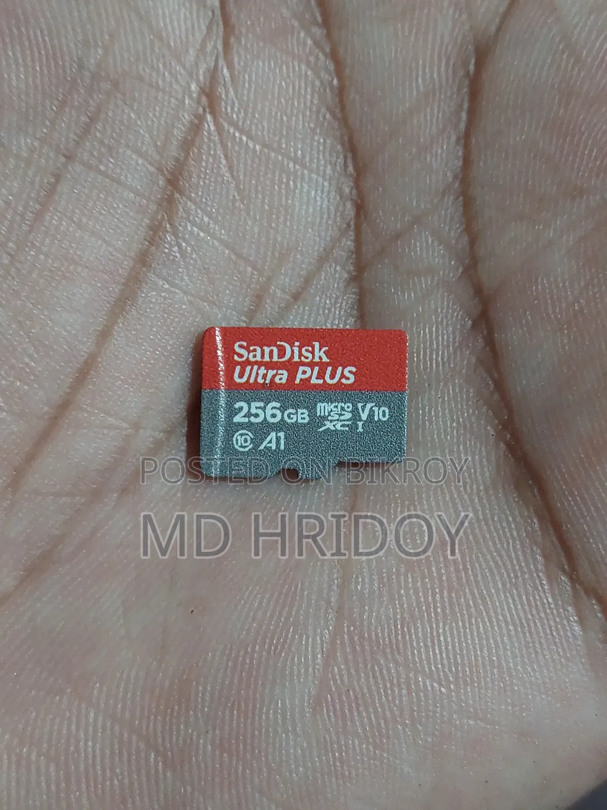 SanDisk 256Gb SD Card