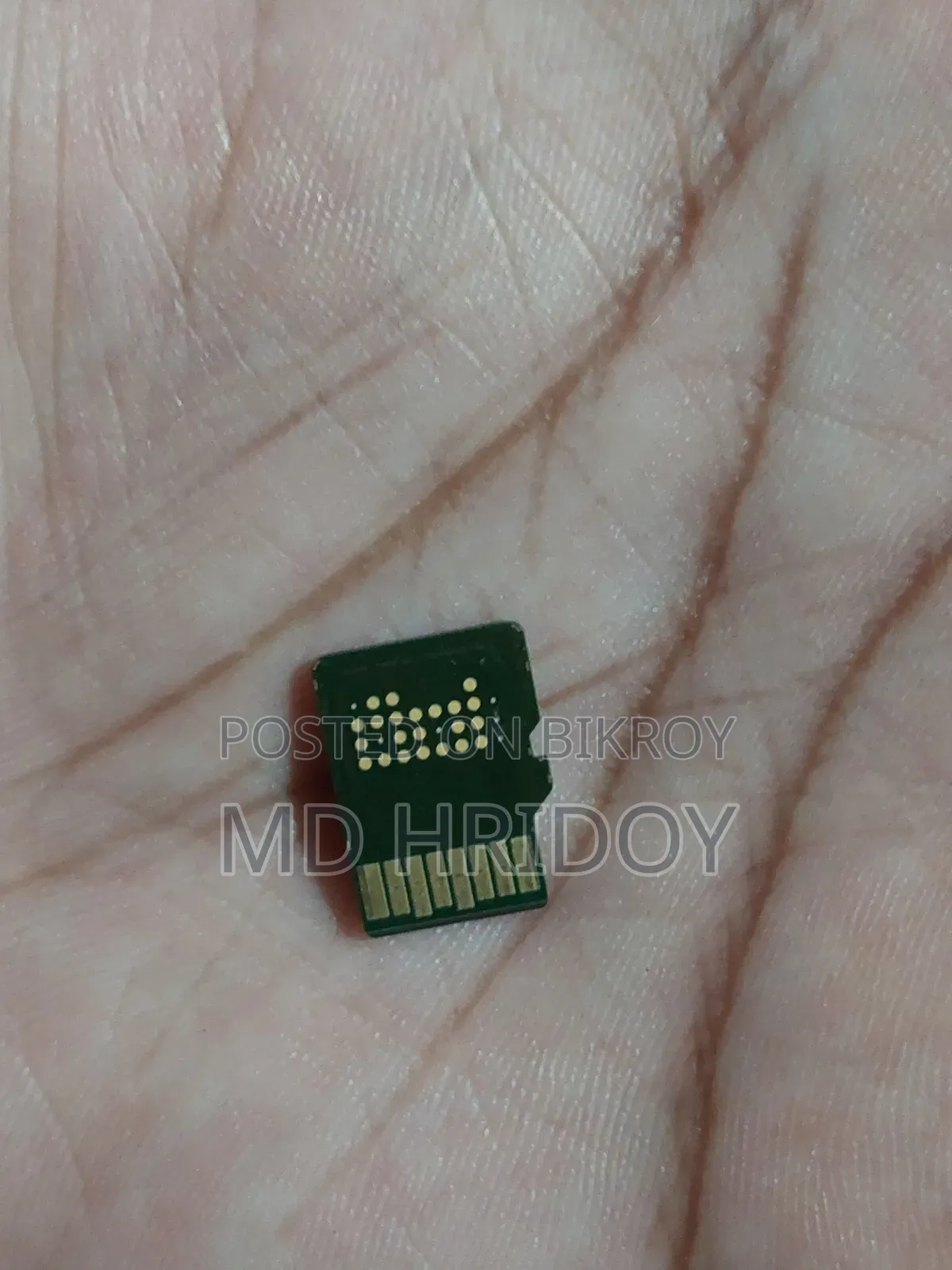 SanDisk 256Gb SD Card