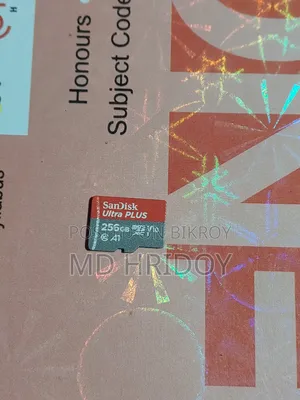 SanDisk 256Gb SD Card
