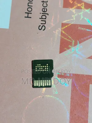 SanDisk 256Gb SD Card