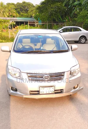 Toyota Axio 2007 Silver