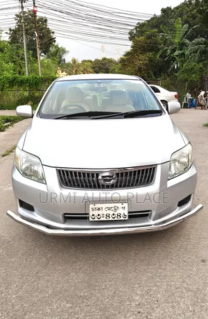 Toyota Axio 2009 Silver