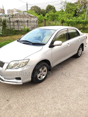 Toyota Axio 2009 Silver