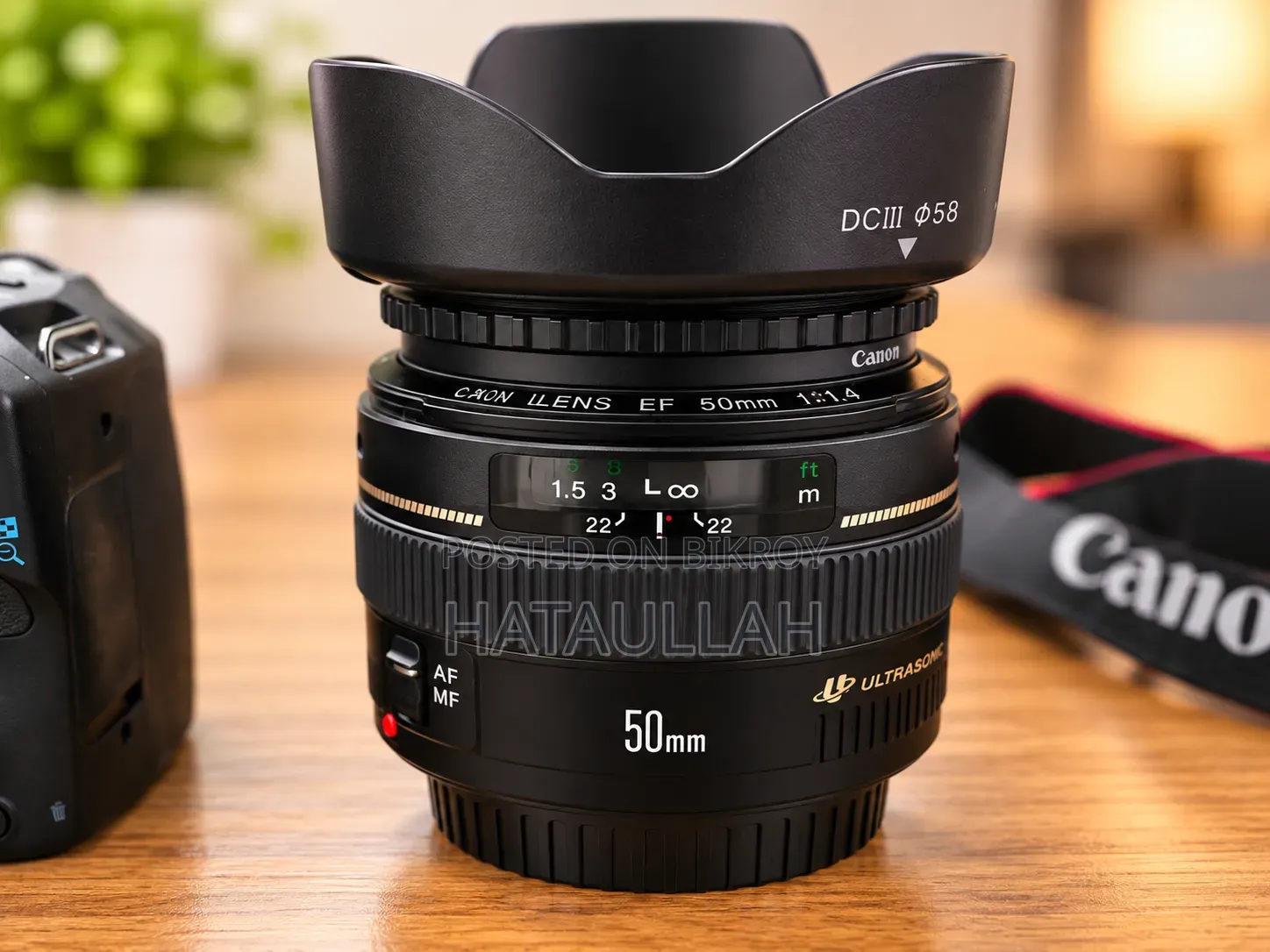 Canon Eos 250d With Ef 50mm F1.4 Usm Lens
