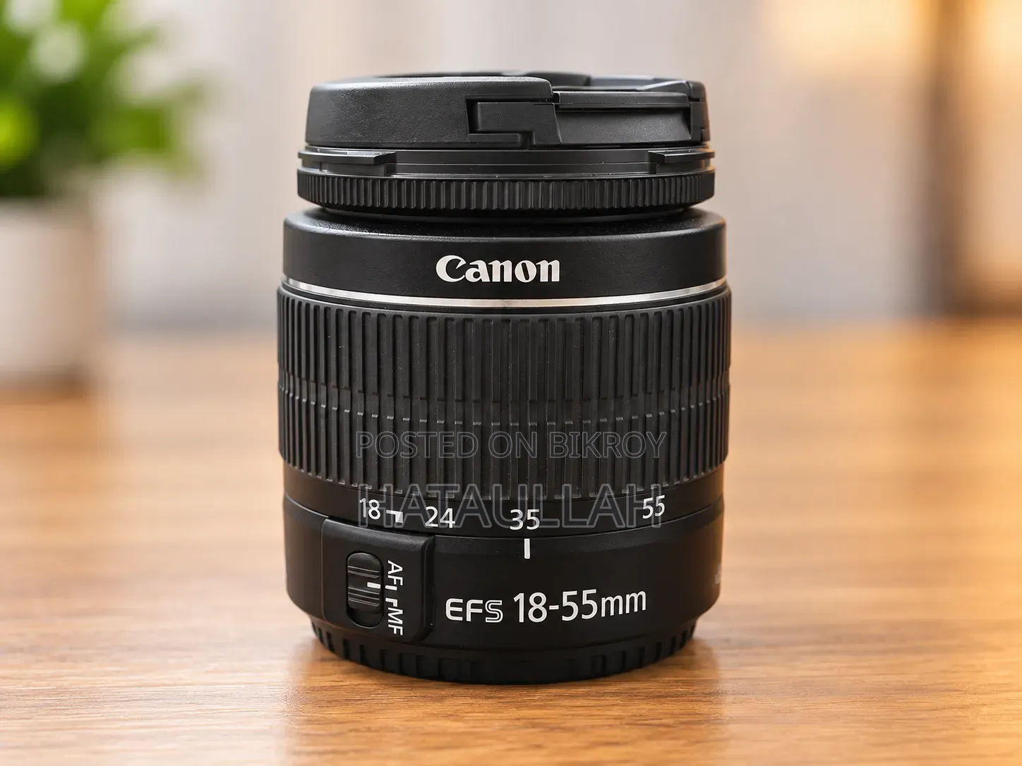 Canon Eos 250d With Ef 50mm F1.4 Usm Lens