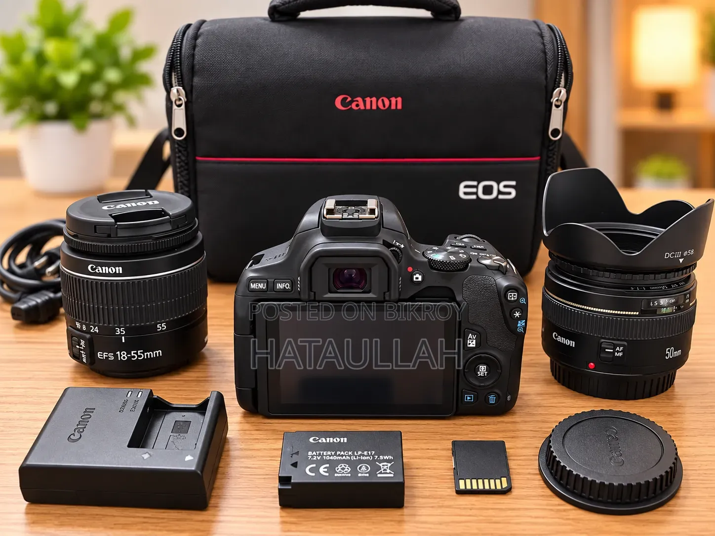 Canon Eos 250d With Ef 50mm F1.4 Usm Lens