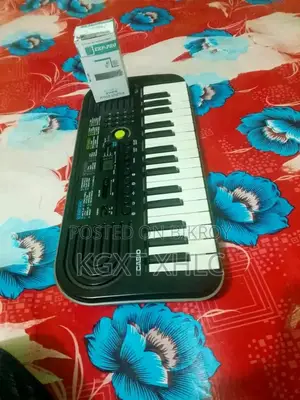 Casio Sa47