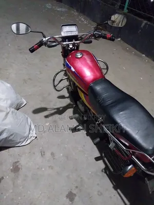 হোন্ডা ২০১০ রেড