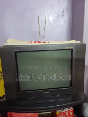 Sony WEGA 21inch