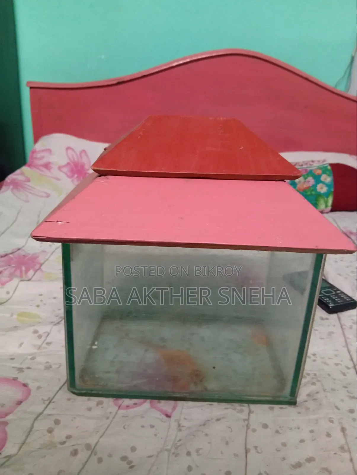 Fish Aquarium