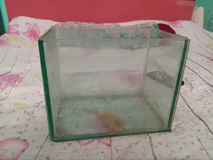 Fish Aquarium