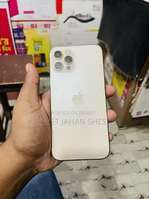 অ্যাপল আইফোন ১২ প্রো ২৫৬ জিবি রোজ গোল্ড