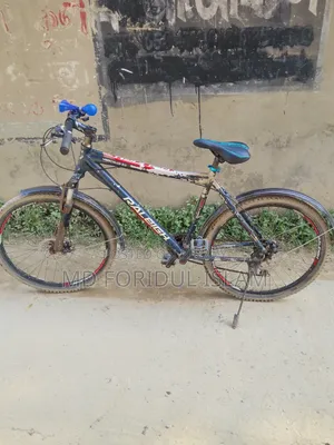 Bicycle Cycle