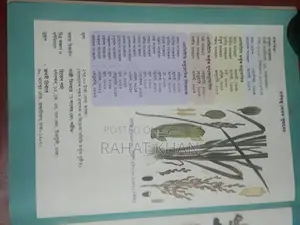 Introduction to Practical Biology (Classes 11-12)
