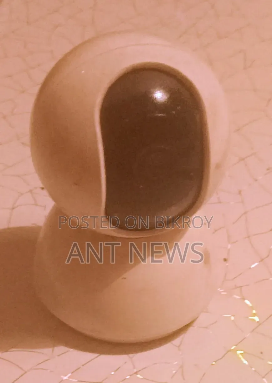 Xiaomi Home Surveillance CC Camera