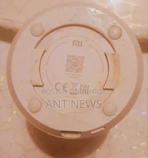 Xiaomi Home Surveillance CC Camera