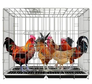 Want to buy a cage.