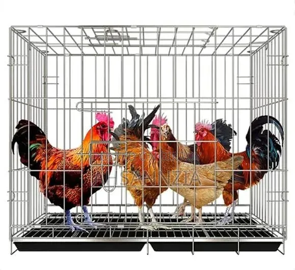 Want to buy a cage.
