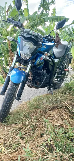 সুজুকি জিক্সার ২০১৮ নীল
