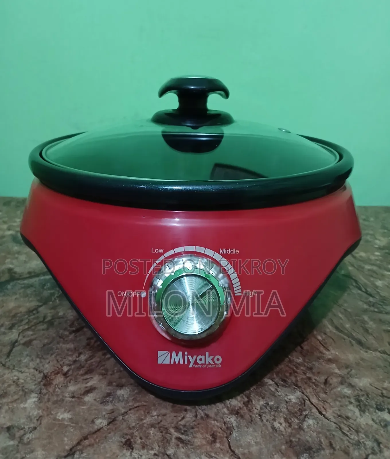 Electric Curry Cooker