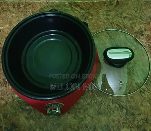 Electric Curry Cooker