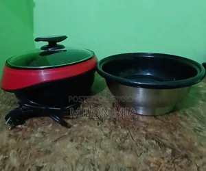 Electric Curry Cooker
