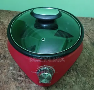Electric Curry Cooker