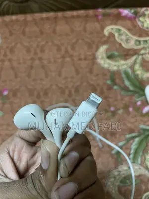 Apple Earphones