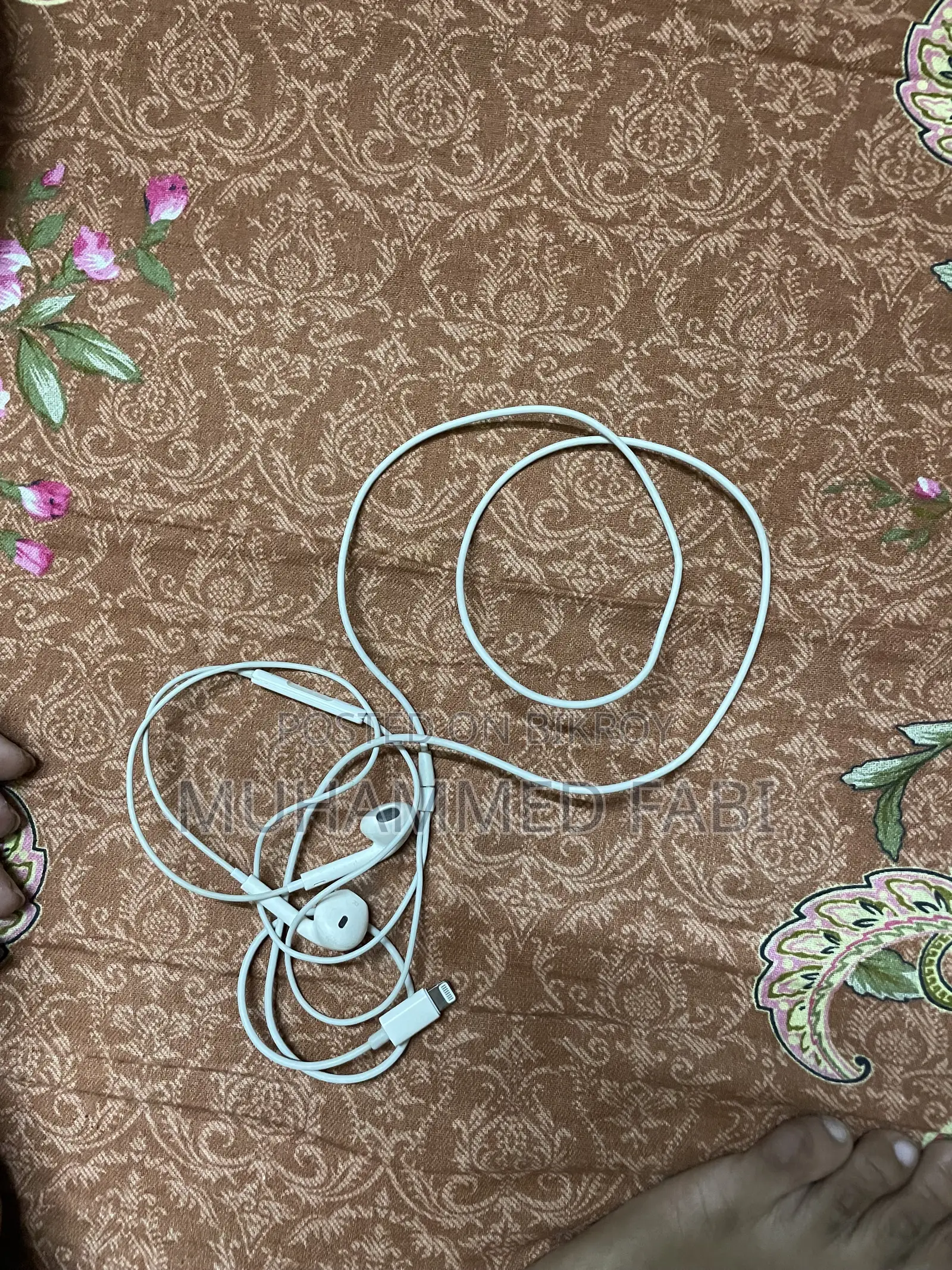 Apple Earphones